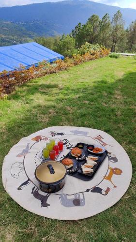 adaara a pet friendly cottage