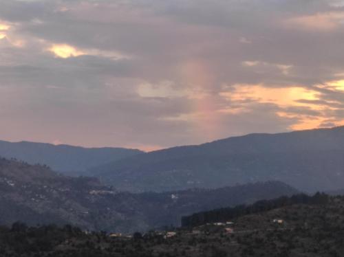 adaara a pet friendly cottage