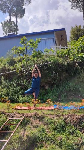 adaara a pet friendly cottage