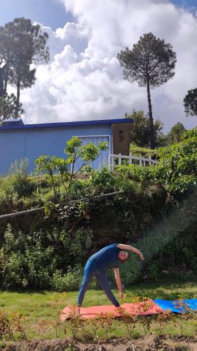 adaara a pet friendly cottage