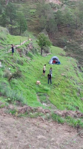 adaara a pet friendly cottage