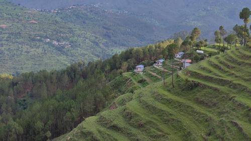adaara a pet friendly cottage
