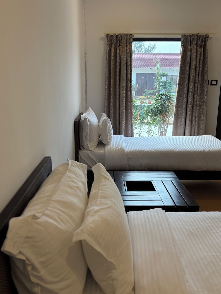 kashi anandam signature collection by eight continents