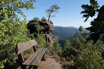 wilgartswiesen