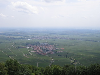 wilgartswiesen
