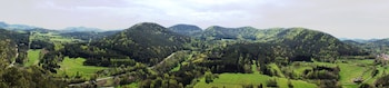 wilgartswiesen