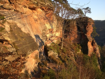 wilgartswiesen