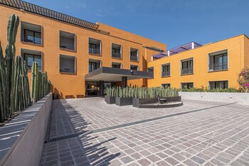 clevia san miguel de allende autograph collection