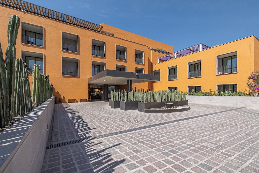 clevia san miguel de allende autograph collection