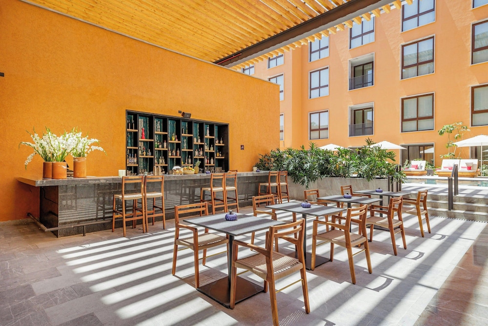 clevia san miguel de allende autograph collection