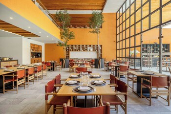 clevia san miguel de allende autograph collection