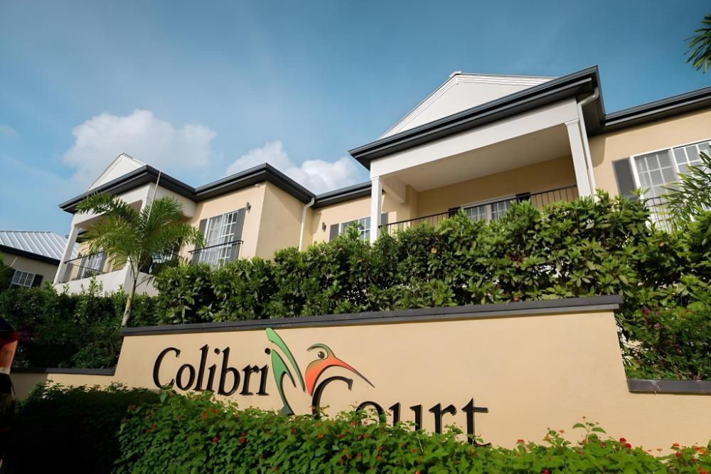colibri court