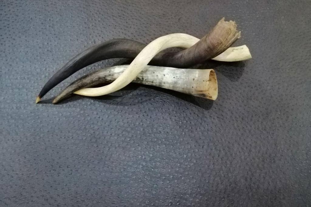 faircity mapungubwe hotel