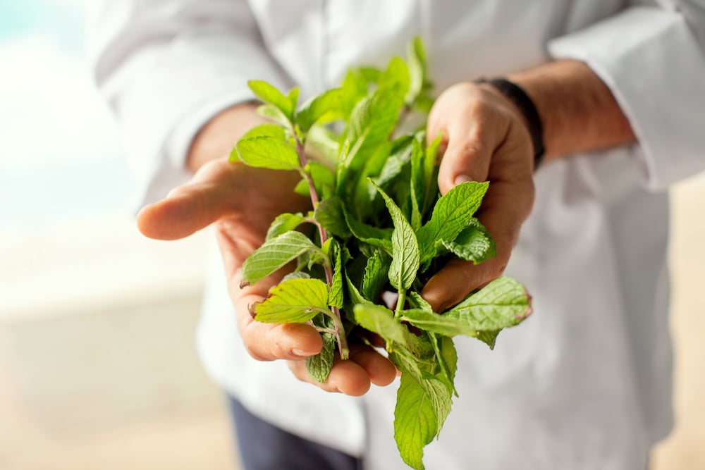 mediterranean village hotel and spa