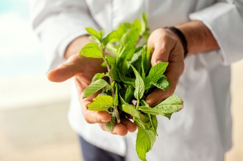 mediterranean village hotel and spa