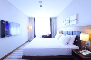 hilton garden inn konya turkey