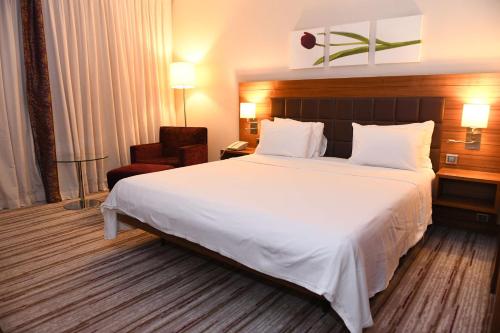 hilton garden inn konya turkey
