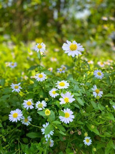 rakmak kan resort and cafe