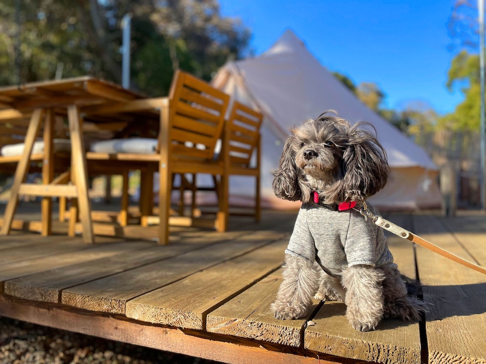 couscous glamping manazuru