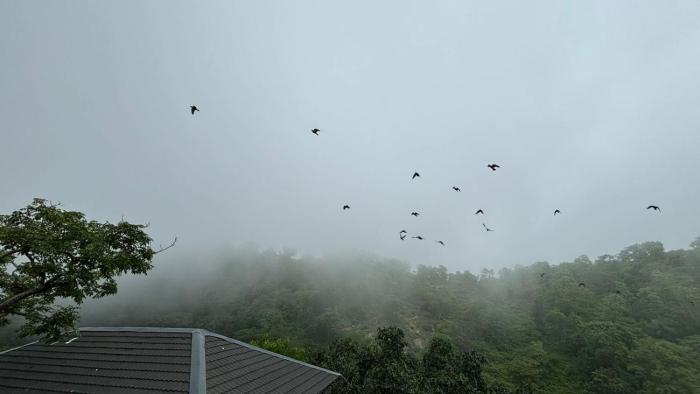 kananwas resort kumbhalgrh