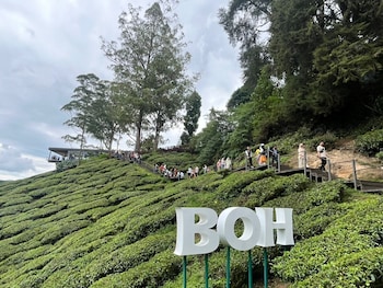 the retreat mountain view cameron highlands