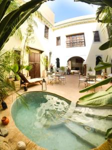 riad les ammonites