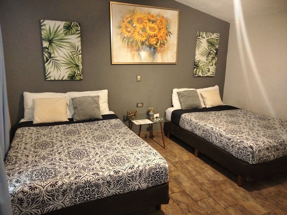 abitare durango by grupo salazar