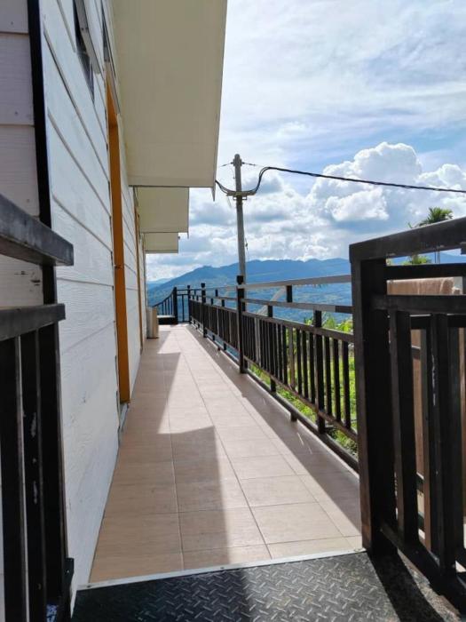 kundasang mount garden