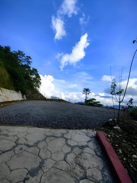 kundasang mount garden