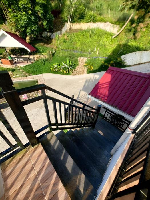 kundasang mount garden