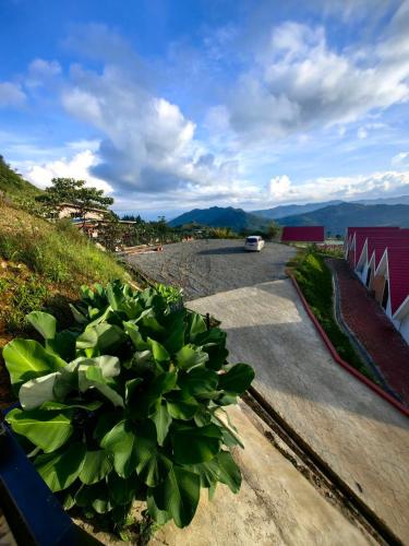 kundasang mount garden