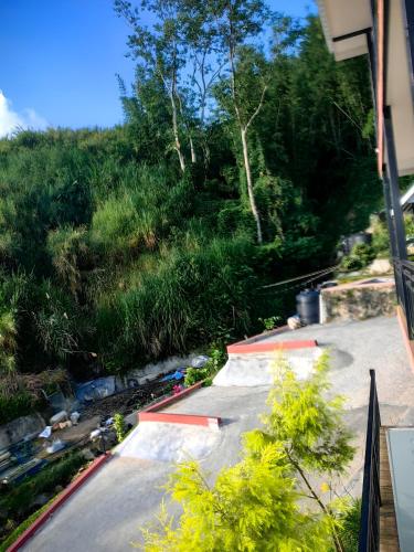 kundasang mount garden