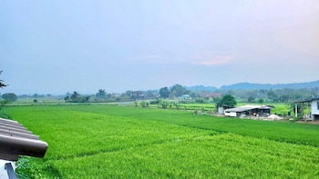 mae chan