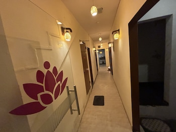 maya international
