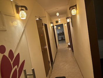 maya international