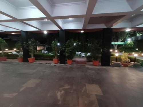 maya international