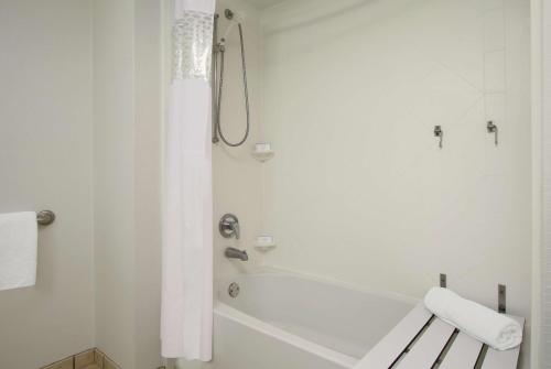 hampton inn jasper