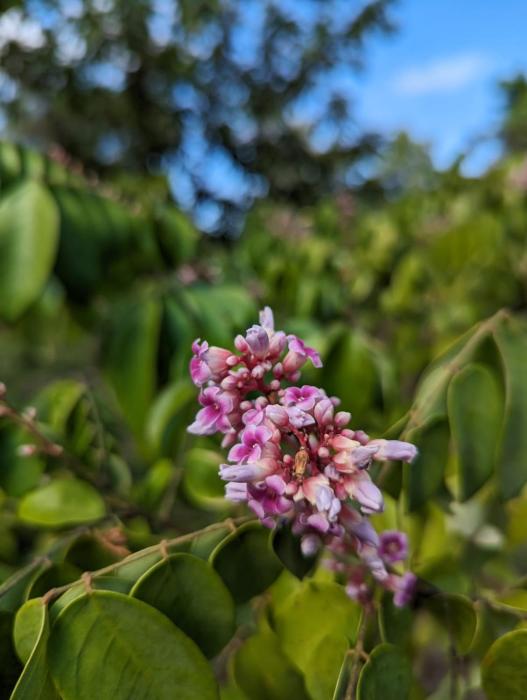 the river retreat koh mak