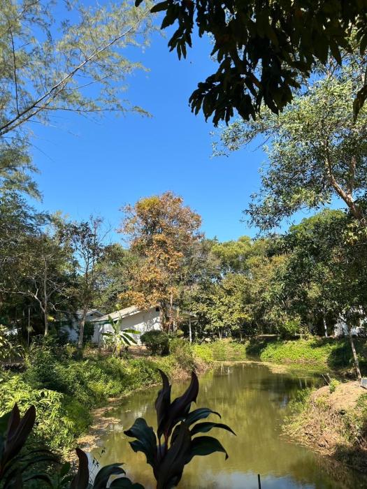 the river retreat koh mak