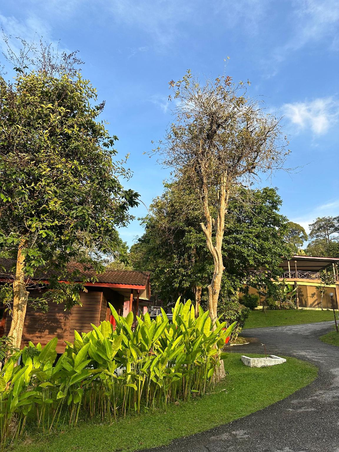 lilla hilltop retreat janda baik