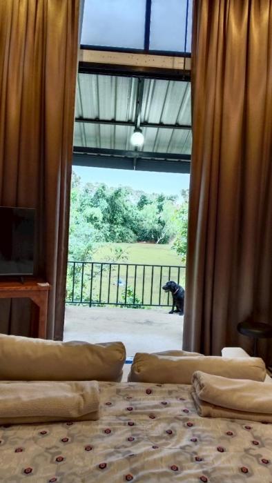 morocco blue cafe by chilong river farm