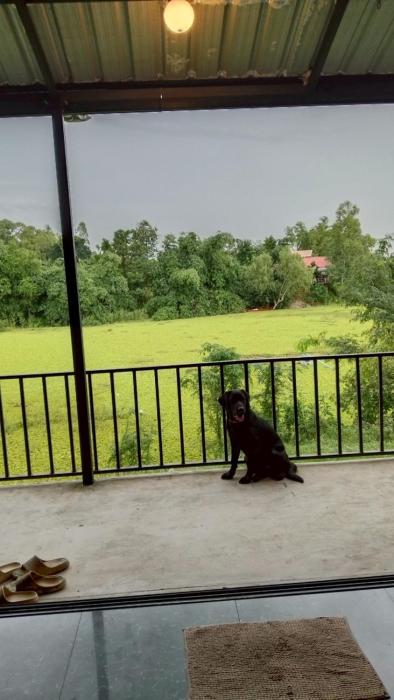 morocco blue cafe by chilong river farm