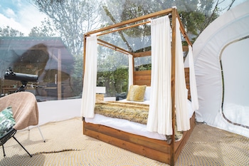 bubblesky glamping guatape