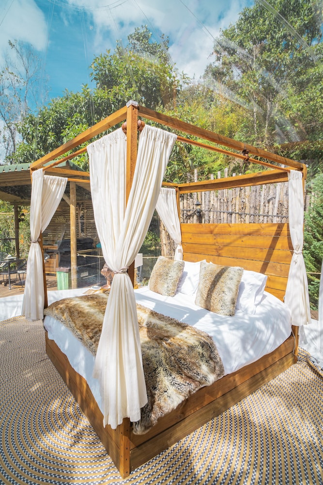 bubblesky glamping guatape