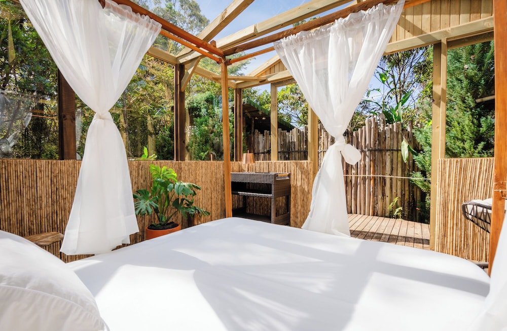 bubblesky glamping guatape