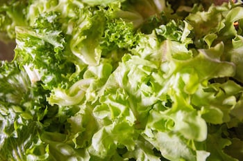 avani riverside bangkok hotel