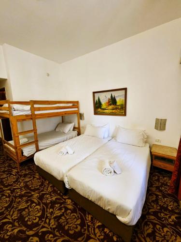 zion hotel
