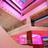 radisson plaza hotel and suites kalamazoo
