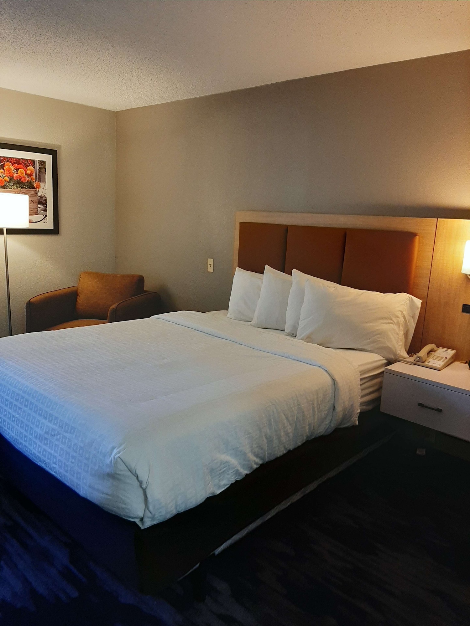 best western batesville