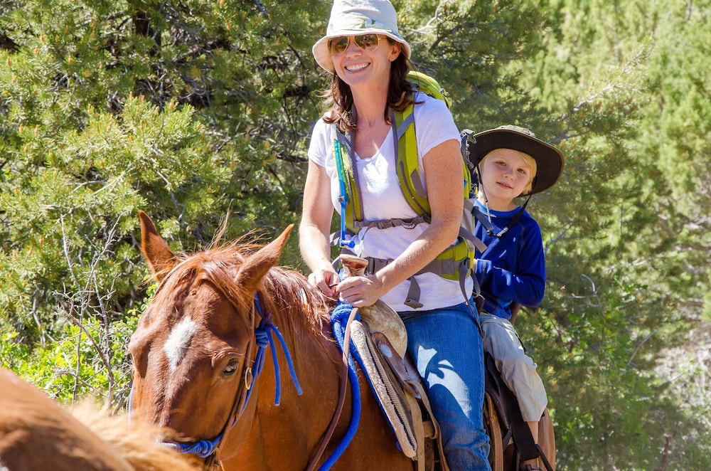 zion mountain ranch